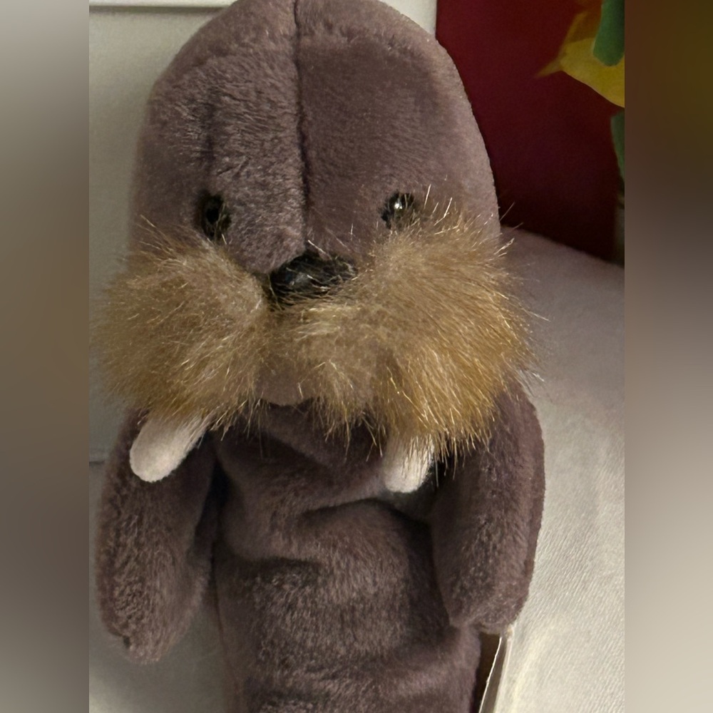 TY Jolly the walrus in beautiful condition with original tag. - Picture 3 of 11